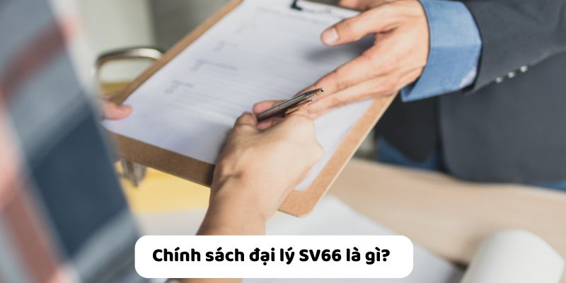Đại lý SV66 kiếm hoa hồng không giới hạn cùng đội ngũ chuyên nghiệp