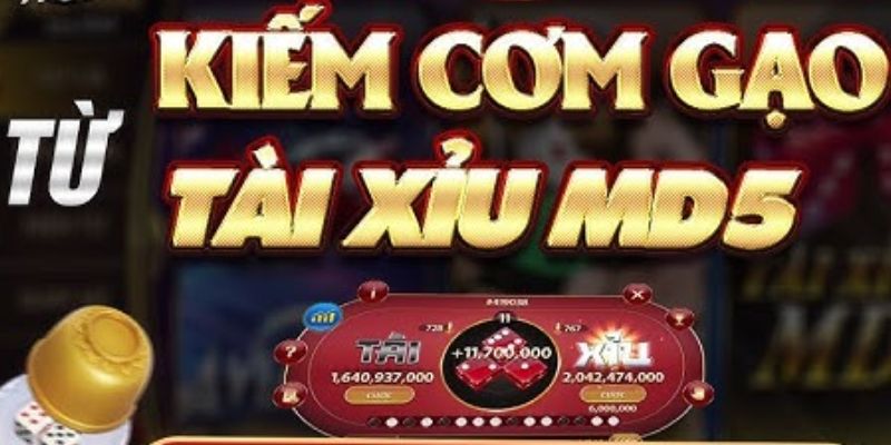 Mẹo chơi Xóc đĩa MD5 giúp tăng cơ hội thắng lớn