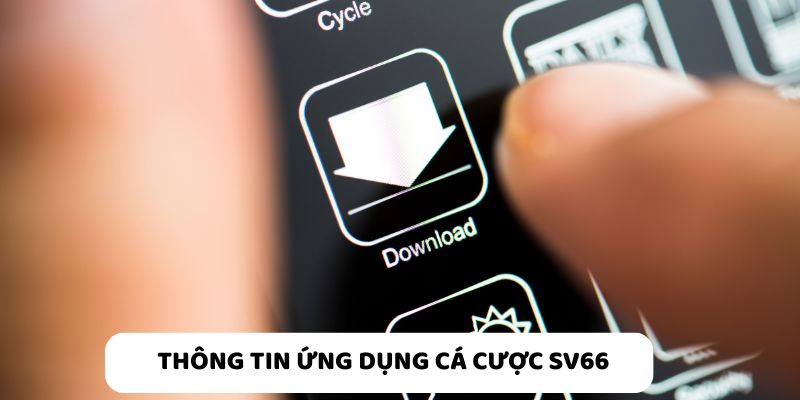 Giao diện app SV66 thân thiện, hỗ trợ đầy đủ tính năng cá cược