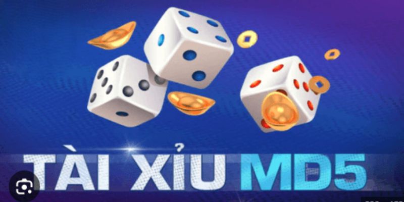 Xóc Đĩa MD5 - Gameplay Hiện Đại, Kết Quả Minh Bạch