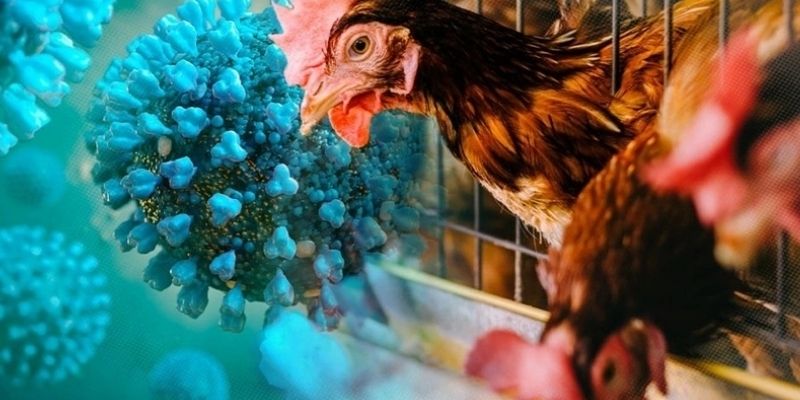 Khâu quan trọng nhằm phòng ngừa bệnh tật
