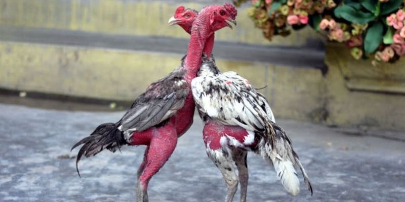 Vật dụng hỗ trợ chăm sóc phải được chuẩn bị đầy đủ