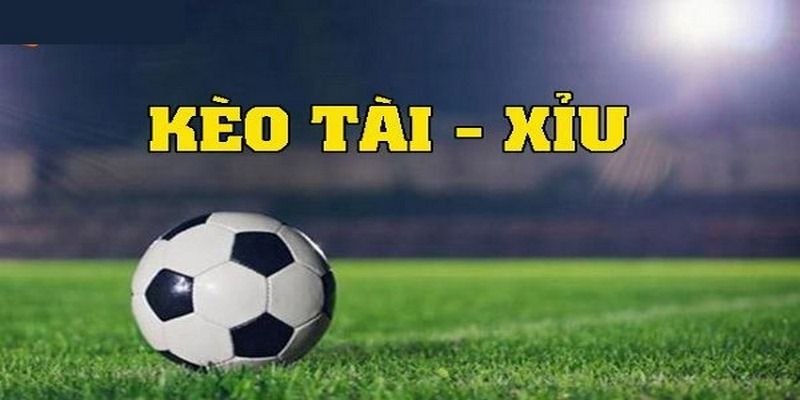 Cách chơi tài xỉu bóng đá cực chuẩn xác