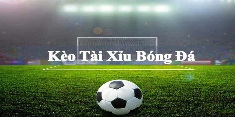 Cách phân tích thông số trận đấu bóng đá