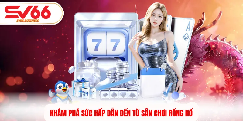 Khám phá sức hấp dẫn đến từ sân chơi rồng hổ