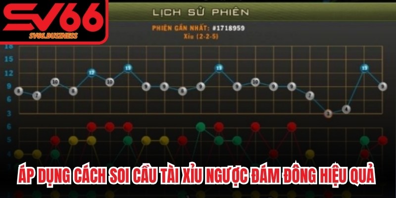 Áp dụng cách soi cầu tài xỉu ngược đám đông mang lại hiệu quả bất ngờ 