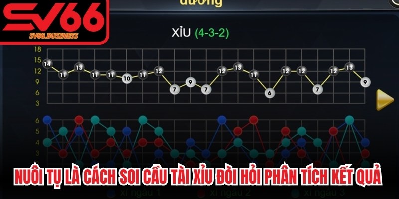 Nuôi tụ là cách soi cầu tài xỉu đòi hỏi phân tích kết quả của các phiên trước đó
