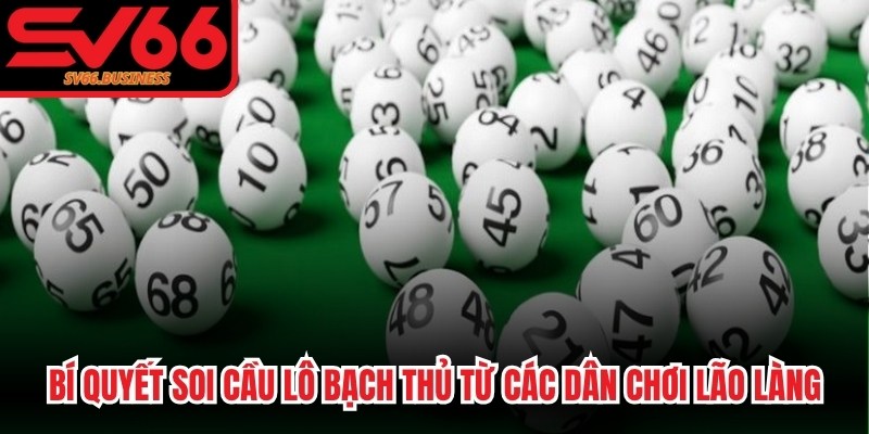 Bí quyết soi cầu lô bạch thủ từ các dân chơi lão làng, có kinh nghiệm