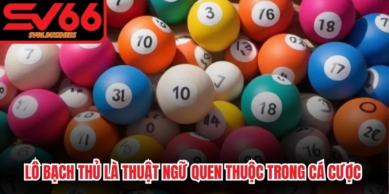 Lô bạch thủ là thuật ngữ quen thuộc trong cá cược lô đề