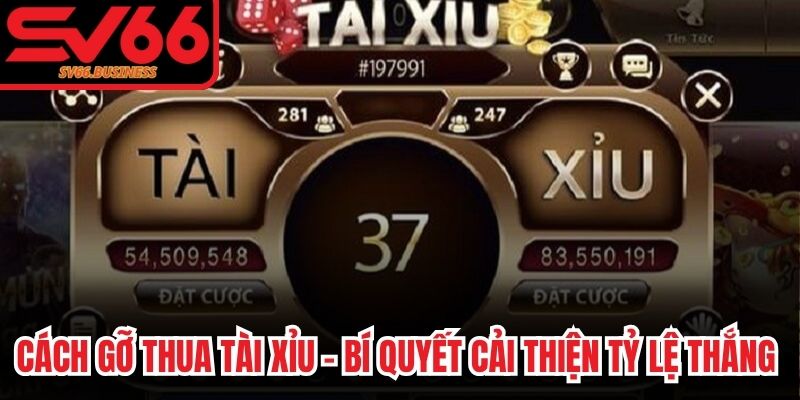 Cách Gỡ Thua Tài Xỉu