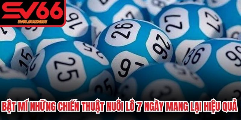 Bật mí những chiến thuật nuôi lô 7 ngày mang lại hiệu quả cao