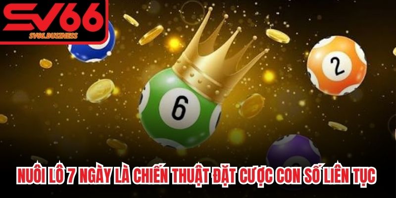 Nuôi lô 7 ngày là chiến thuật đặt cược con số liên tục trong bảy ngày