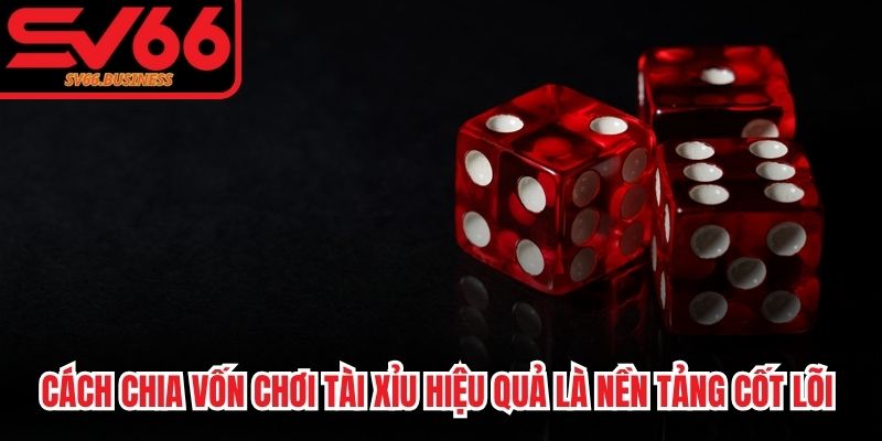 Cách chia vốn chơi Tài Xỉu hiệu quả là nền tảng cốt lõi cần tuân thủ