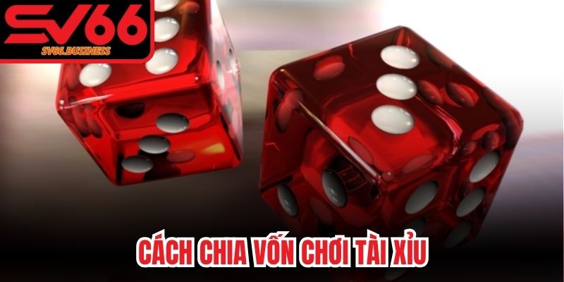 Cách Chia Vốn Chơi Tài Xỉu