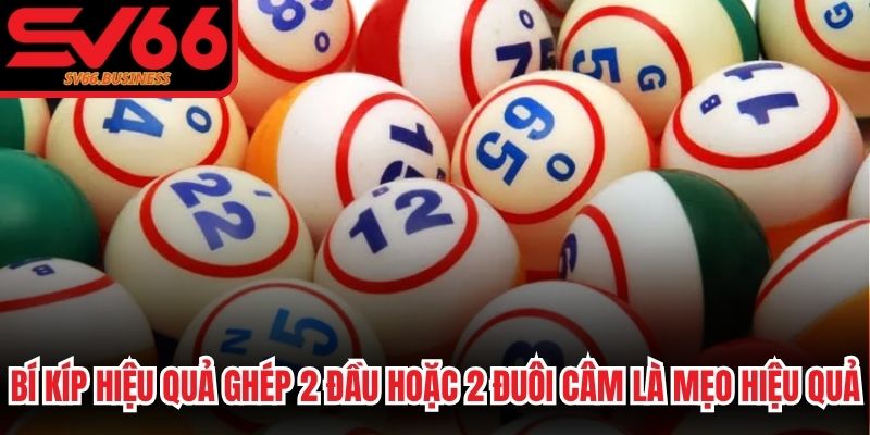 Bí kíp hiệu quả ghép 2 đầu hoặc 2 đuôi câm là mẹo rất hiệu quả