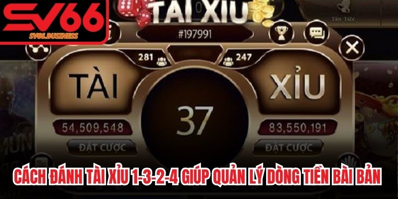 Cách đánh tài xỉu 1-3-2-4 giúp quản lý dòng tiền bài bản nhất