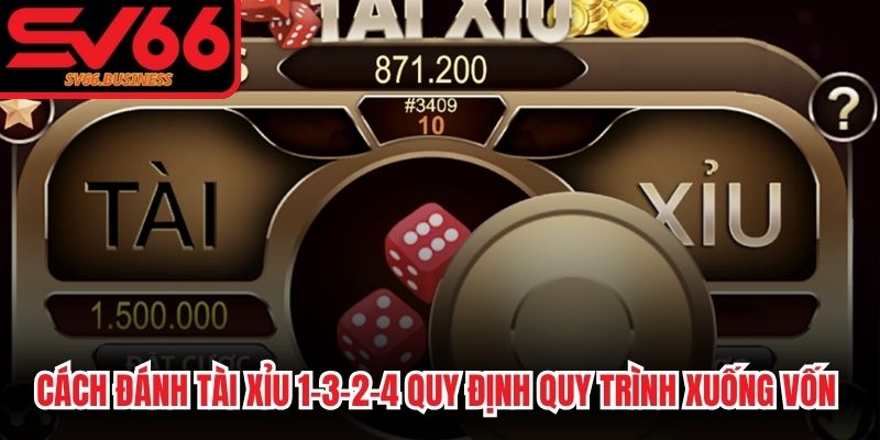 Cách đánh tài xỉu 1-3-2-4 quy định quy trình xuống vốn chặt chẽ
